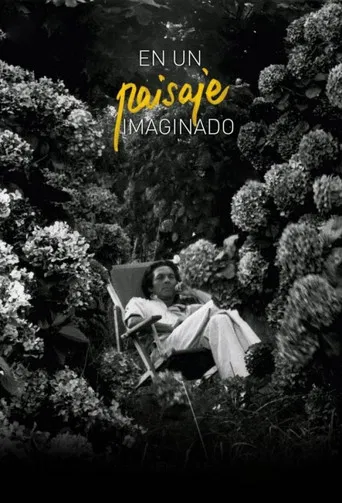 Imagined Landscape poster