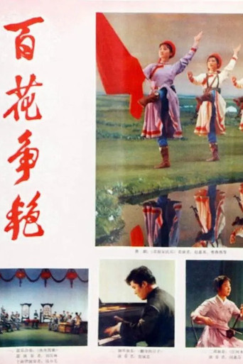 Bai hua zheng yan poster