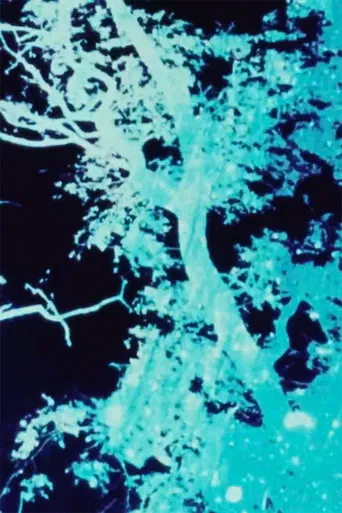 Sunprints 1, 2, 3 poster