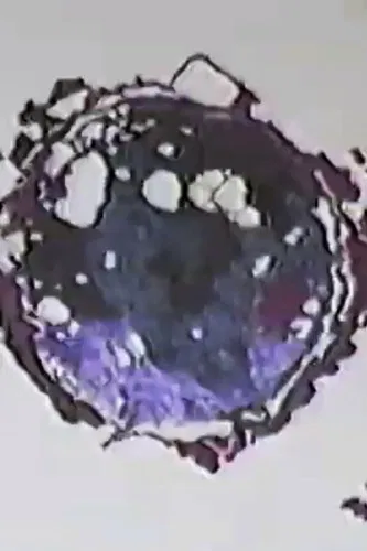 Ground level in New York & D.C poster