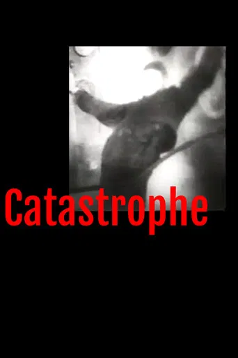 Catastrophe poster
