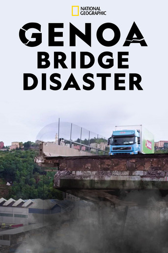 Genoa Bridge Disaster poster