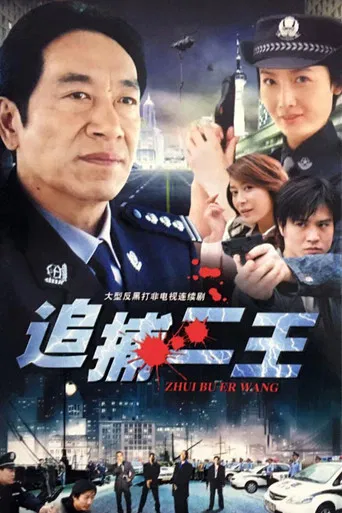 追捕二王 poster