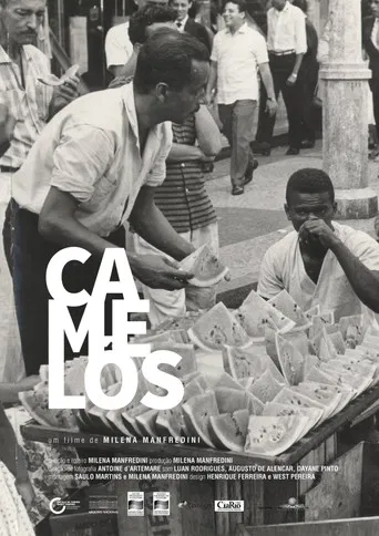 Camelôs poster