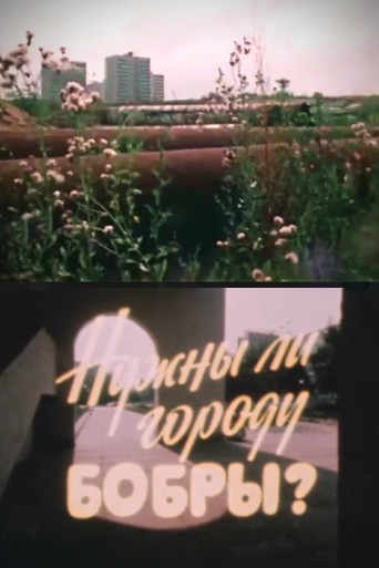 Does This Town Need Beavers? poster