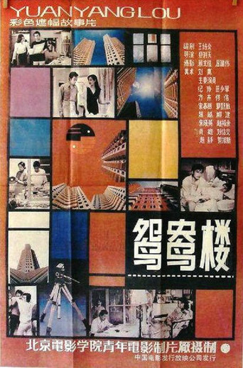 The Young Couple Apartment poster