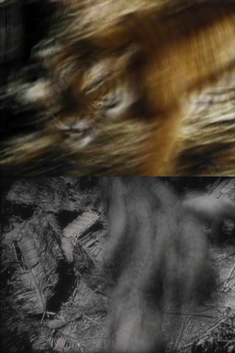 Cemetery [Archive Works] poster