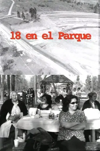 18 en el parque poster