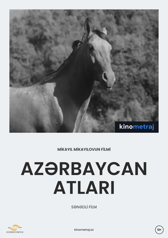 Azerbaijani Horses poster