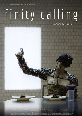 Finity Calling poster