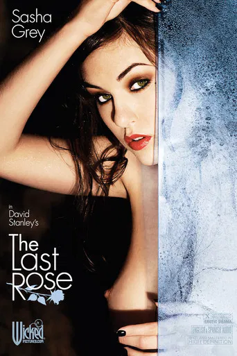The Last Rose poster