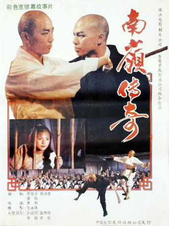 南岭传奇 poster
