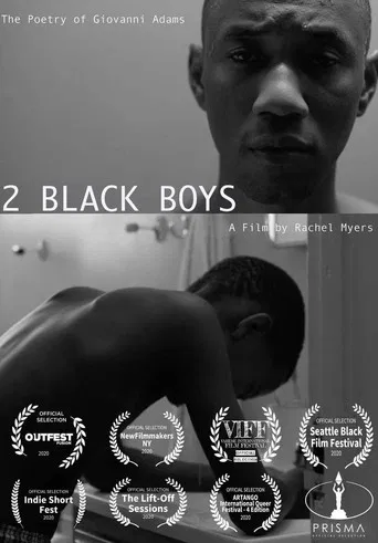 2 Black Boys poster