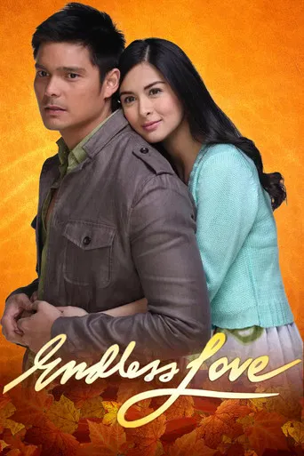 Endless Love poster