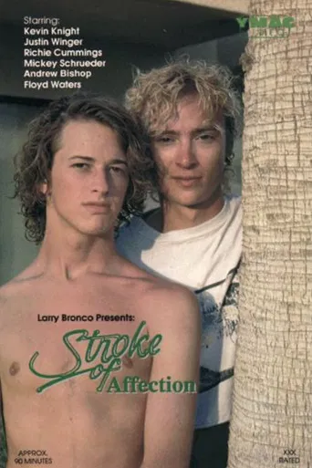 Stroke of Affection poster