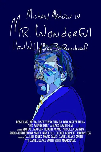 Mr. Wonderful poster