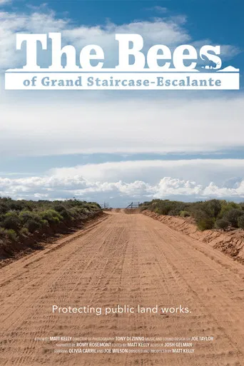 The Bees of Grand Staircase-Escalante poster