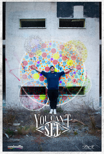 You Can't See poster