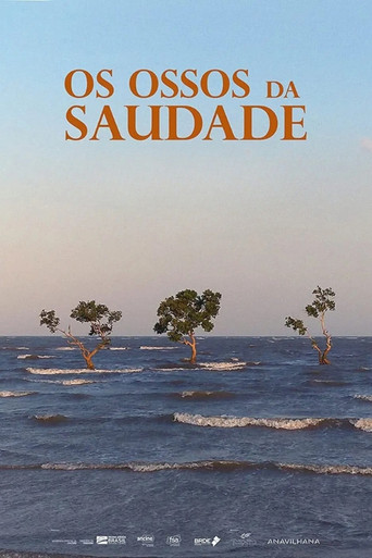 Os Ossos da Saudade poster