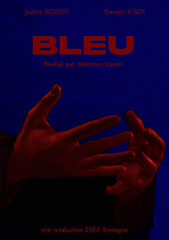 BLEU poster