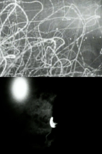 D - Non diversi giorni si pensa splendessero alle prime origini del nascente mondo o che avessero temperatura diversa poster