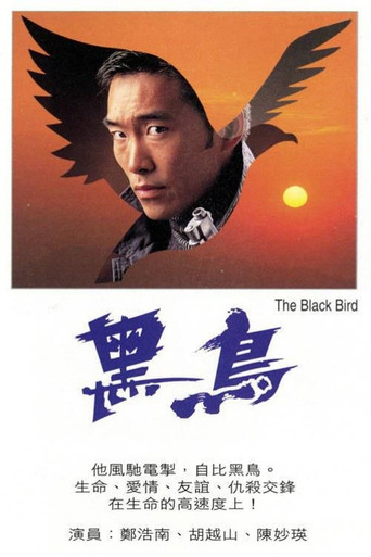 The Black Bird poster