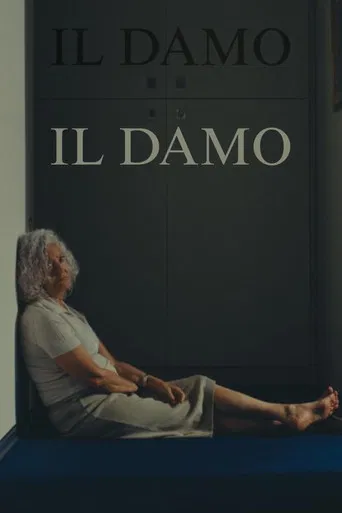 Il Damo poster