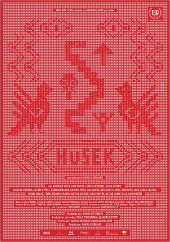 Husek poster