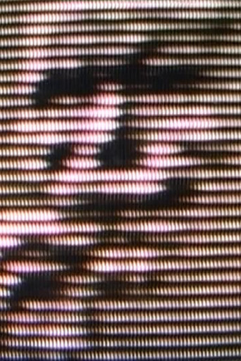 Cieli altissimi retrocedenti. Tricologia di Palermo di Salvo Cuccia poster