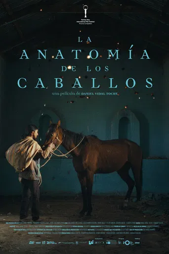 The Anatomy of the Horses poster