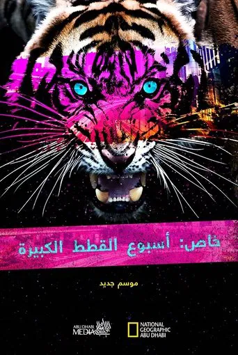 Big Cat Week Collection poster