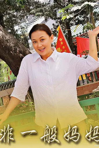 非一般妈妈 poster