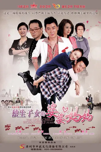 独生子女的婆婆妈妈 poster