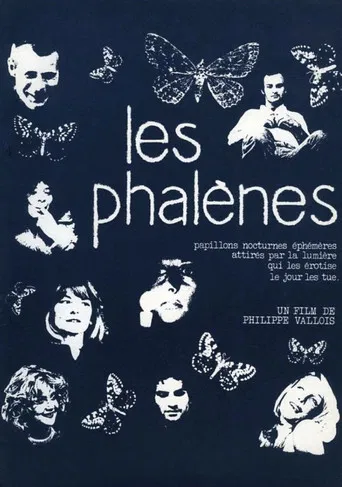 Les phalènes poster