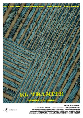 The Procedure poster