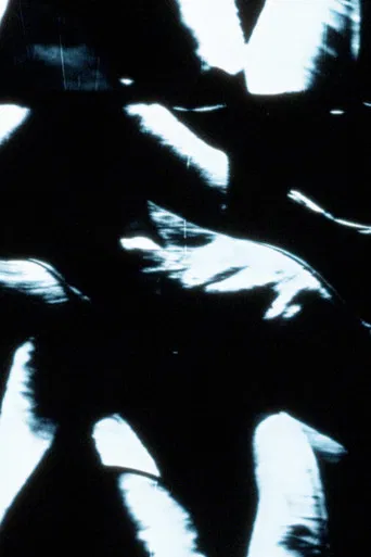 tulips are my father's favourite flower poster