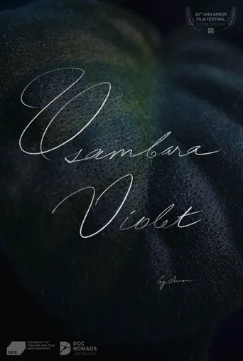 Usambara Violet poster