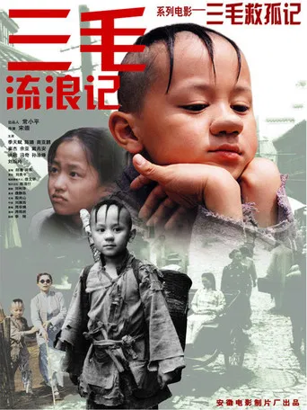 三毛救孤记（2004） poster