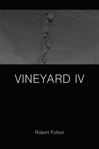 Vineyard IV poster