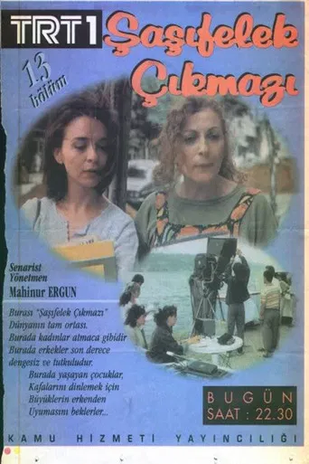 Şaşıfelek Çıkmazı poster