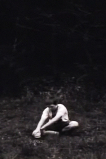 Miles Above, Years Apart poster