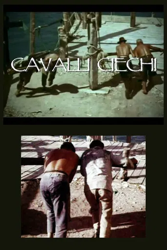 Cavalli ciechi poster