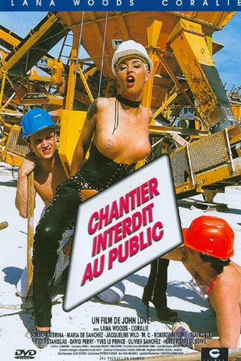 Chantier interdit au public poster