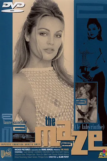 The Maze poster