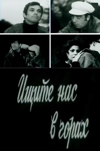 Find Us in the Mountains poster