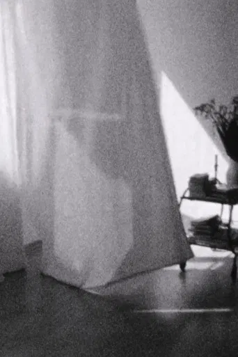 Weiße Vorhänge poster