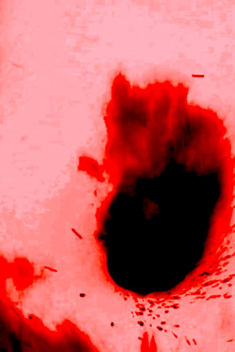 Black Fire Sun poster