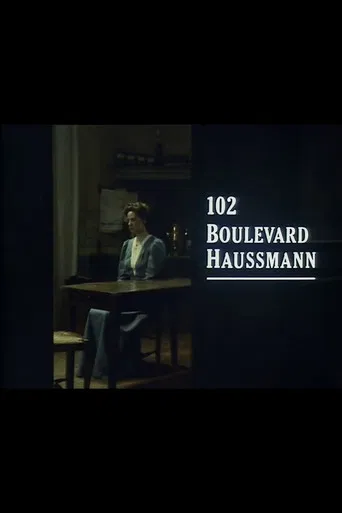 102 Boulevard Haussmann poster