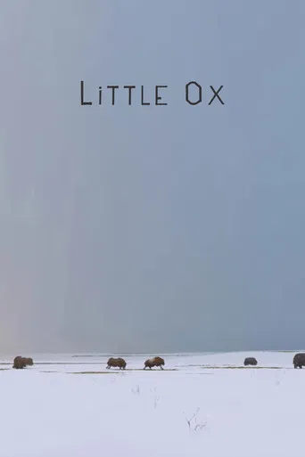 Little Ox poster