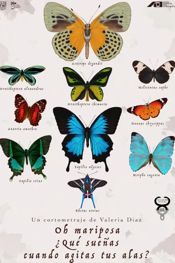 Oh Butterfly, What Do You Dream of When You Flap Your Wings? poster